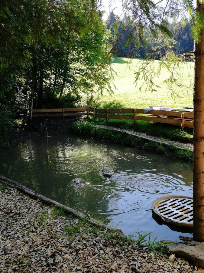 Ferienhaus Am Waldrand Von Egg Bregenzer Wald 外观 照片