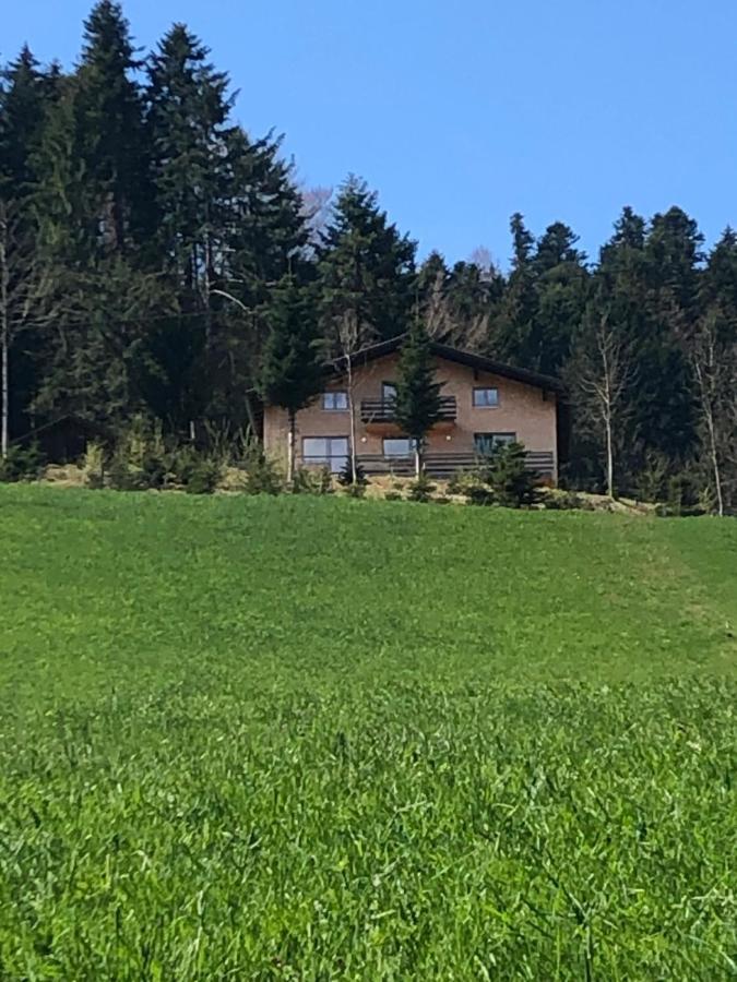 Ferienhaus Am Waldrand Von Egg Bregenzer Wald 外观 照片