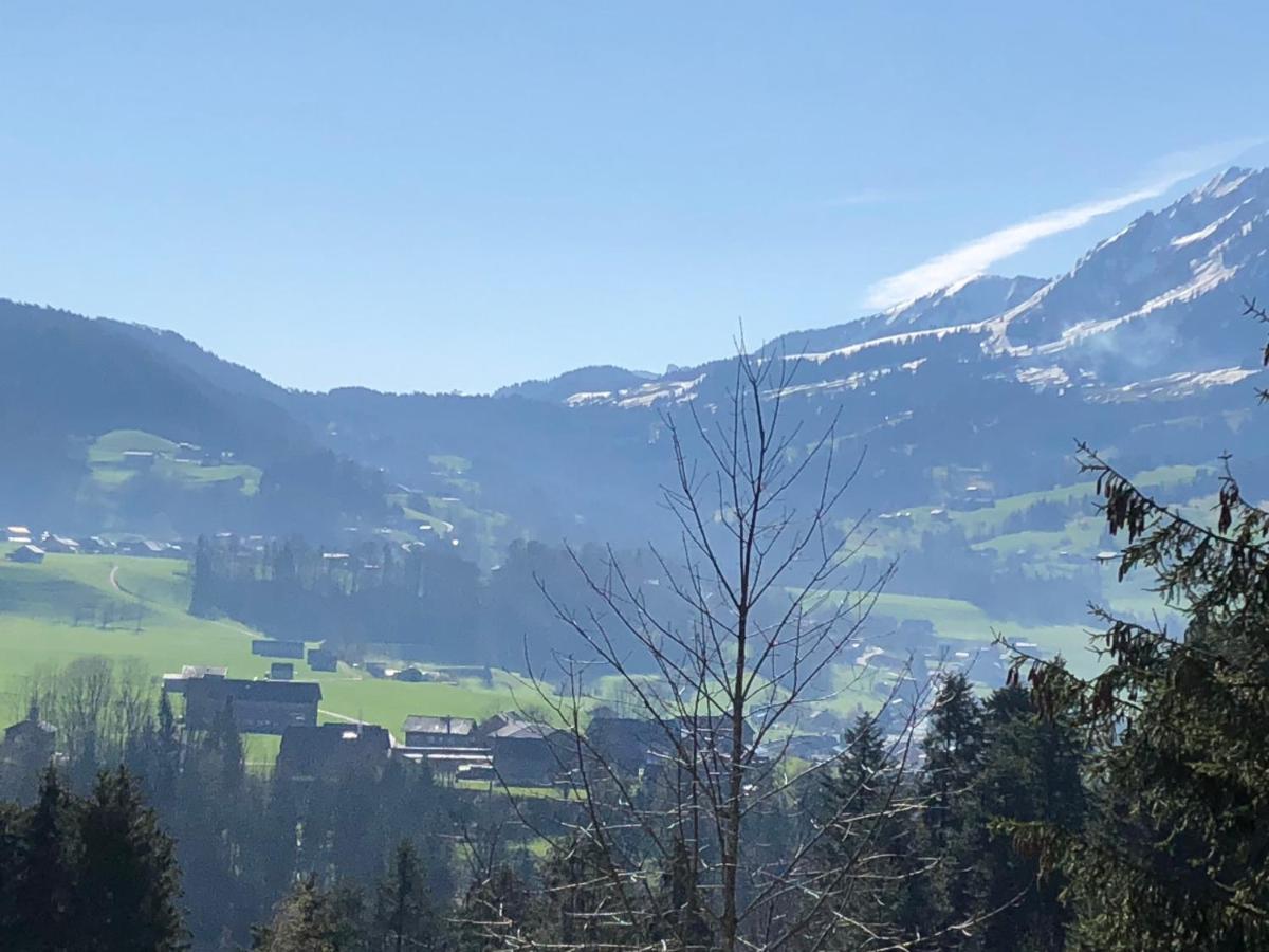 Ferienhaus Am Waldrand Von Egg Bregenzer Wald 外观 照片