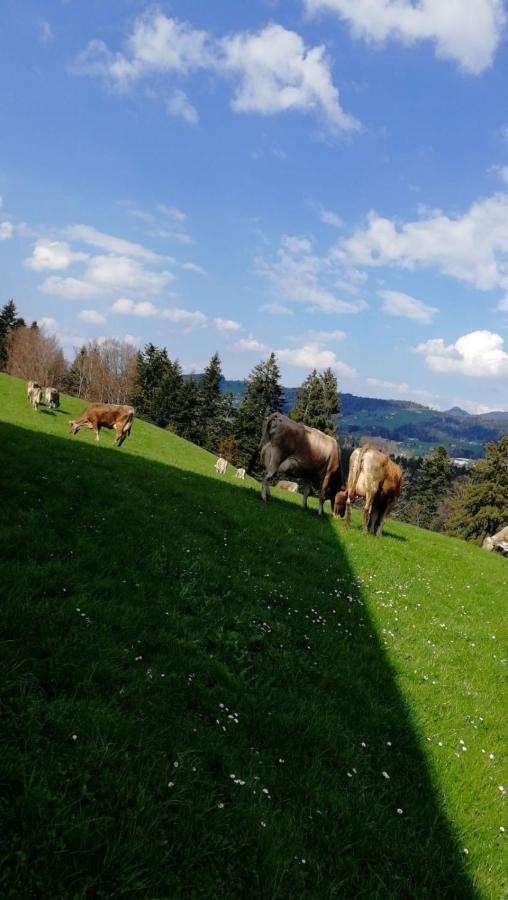 Ferienhaus Am Waldrand Von Egg Bregenzer Wald 外观 照片
